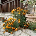 Theasis Suites-Ορεινή Φιλοξενία 4* Kato Sinikia Trikalon