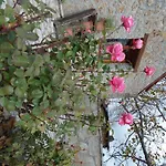 Theasis Suites-Ορεινή Φιλοξενία