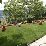 Guest house Theasis Suites-Ορεινή Φιλοξενία Kato Sinikia Trikalon