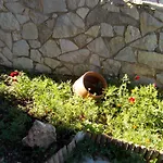 Theasis Suites-Ορεινή Φιλοξενία