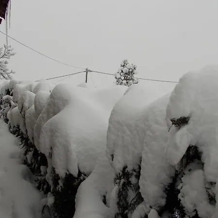 Gasthuis Theasis Suites-ορεινή φιλοξενία Kato Sinikia Trikalon