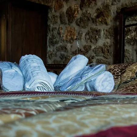 θέασις Κάτω Τρίκαλα Κορινθίας