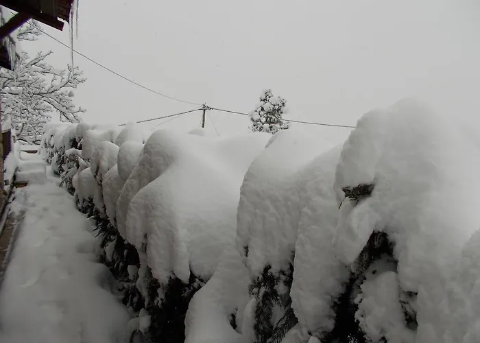 Maison d'hôtes Theasis Suites-ορεινή φιλοξενία Kato Sinikia Trikalon
