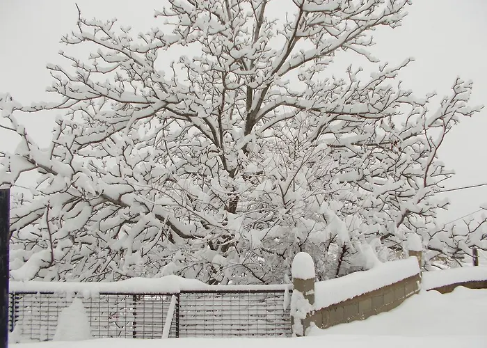 Theasis Suites-ορεινή φιλοξενία 4* Kato Sinikia Trikalon