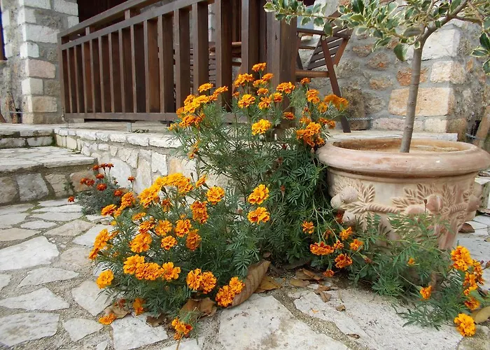 Theasis Suites-ορεινή φιλοξενία 4* Kato Sinikia Trikalon