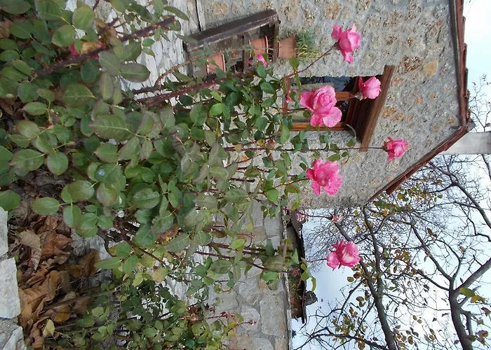 Theasis Suites-ορεινή φιλοξενία