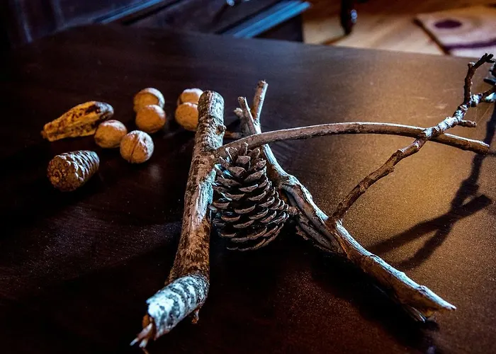 Theasis Suites-ορεινή φιλοξενία Kato Sinikia Trikalon