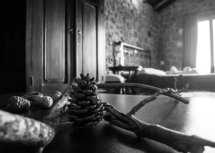 Maison d'hôtes Theasis Suites-ορεινή φιλοξενία Kato Sinikia Trikalon